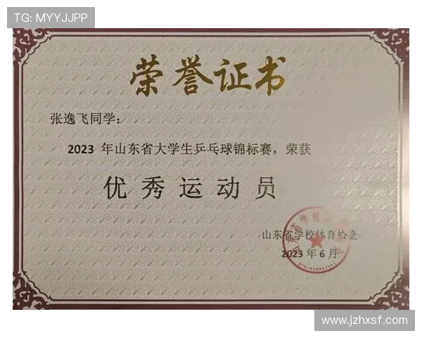 武汉乒乓球队个人能力分析与提升策略探讨